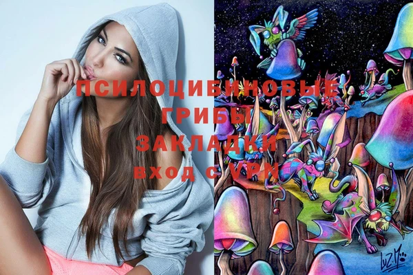 спайс Беломорск