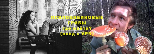 jwh Белокуриха