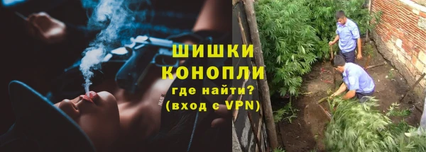 спайс Беломорск