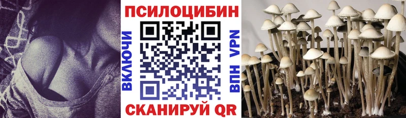 Псилоцибиновые грибы MAGIC MUSHROOMS  Купить закладки  Сосновка 